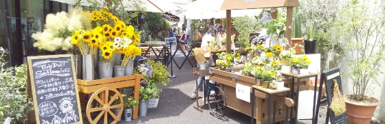 株式会社マグナ、フラワー＆インテリア